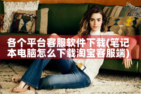 各个平台客服软件下载