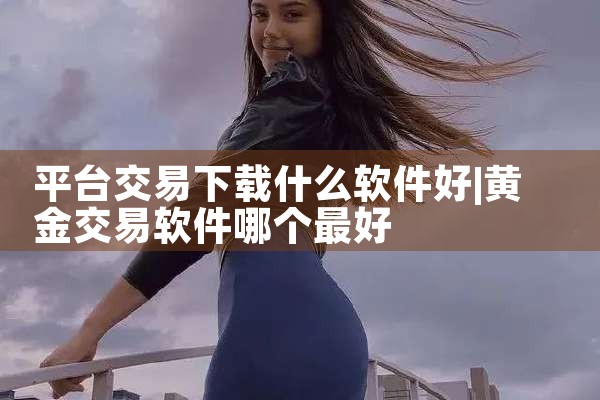 平台交易下载什么软件好