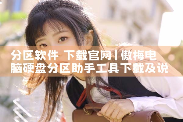 分区软件 下载官网