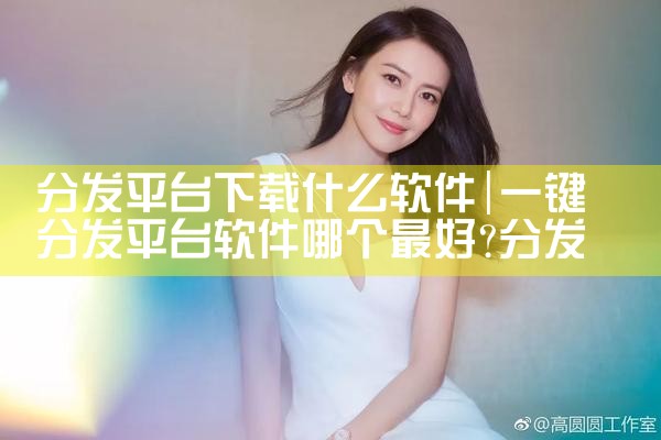分发平台下载什么软件