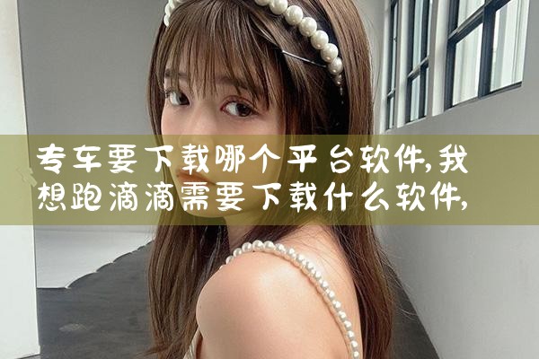 专车要下载哪个平台软件