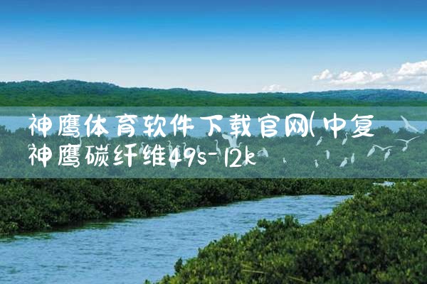 神鹰体育软件下载官网