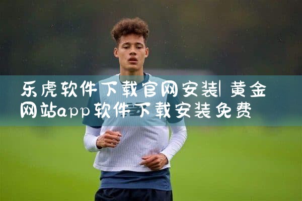 乐虎软件下载官网安装