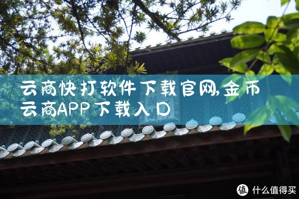 云商快打软件下载官网