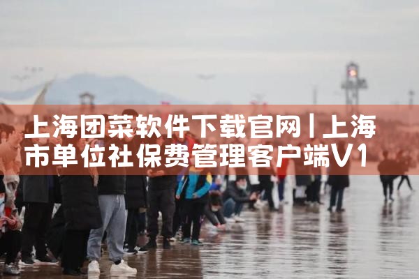上海团菜软件下载官网