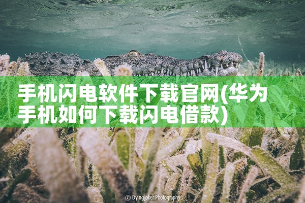 手机闪电软件下载官网