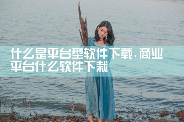 什么是平台型软件下载